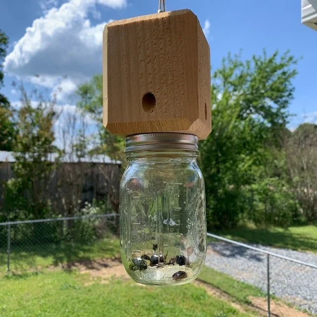 Carpenter Bee Trap