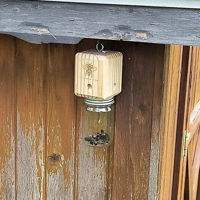 Carpenter Bee Trap