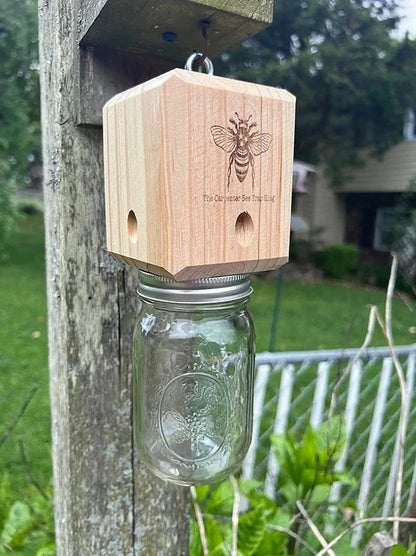 Carpenter Bee Trap