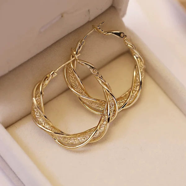 S925 Fashion Twist Earrings