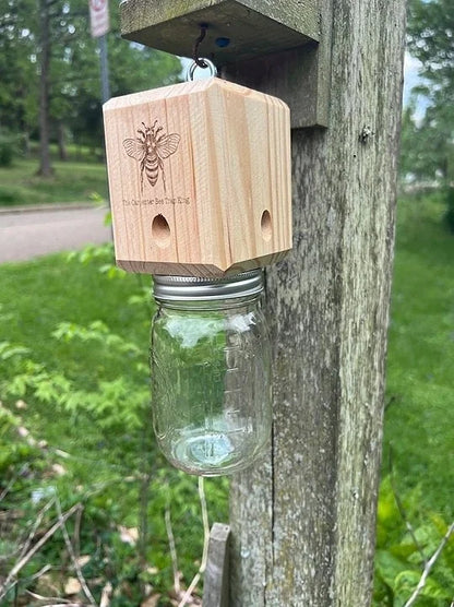 Carpenter Bee Trap